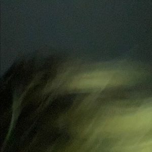 Meet your Posher, Evan